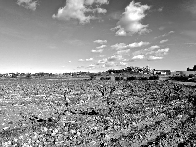 The bountiful Lérida Plains. Photo © Karethe Linaae